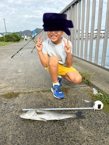 宇野港