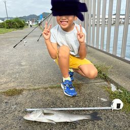 スズキ