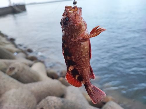 忠岡木材コンビナート