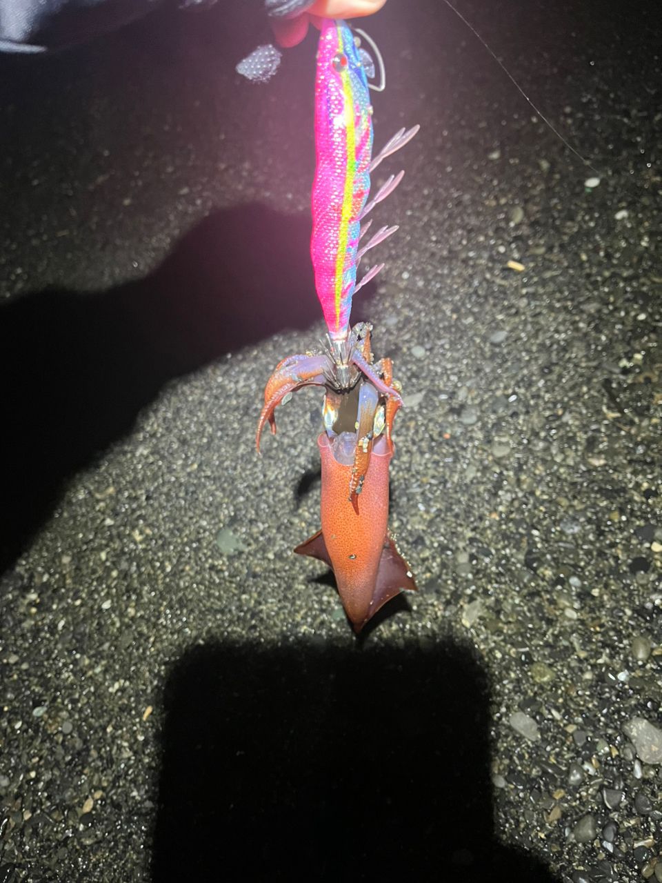 超美品♪ DAIWA エメラルダス MX 89M ダイワ エギングロッド エメラルダス MX 89M・N(スピニング 2