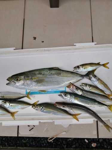 網代浜海水浴場