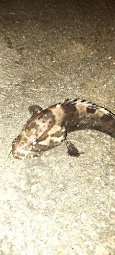 相模川下流