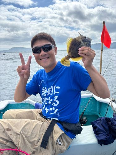 カワハギの釣果