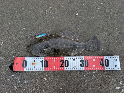新舞子海岸（富津）