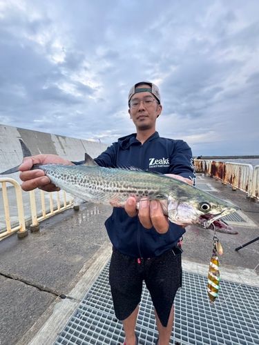 南港魚つり公園