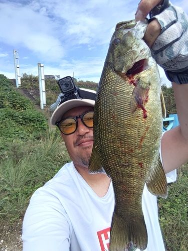 スモールマウスバスの釣果