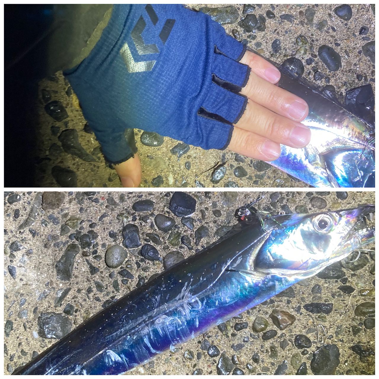 イナダ