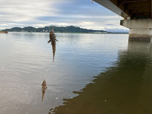 高梁川河口