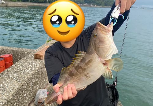 浦戸湾