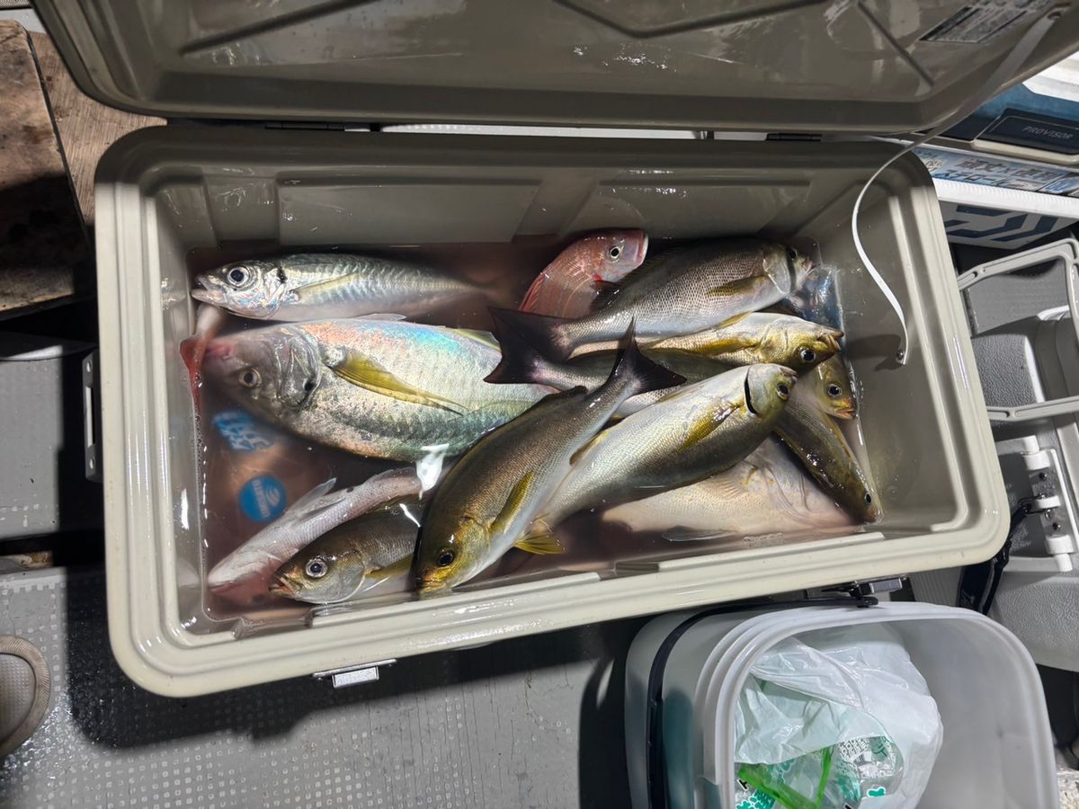 田畑良朗@なつき丸さんの釣果 3枚目の画像