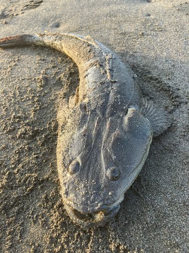 辻堂海浜公園前