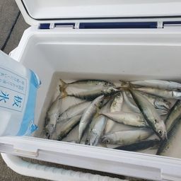 サバ