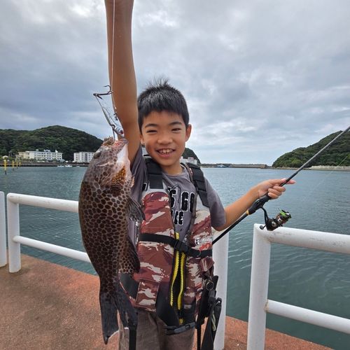オオモンハタの釣果