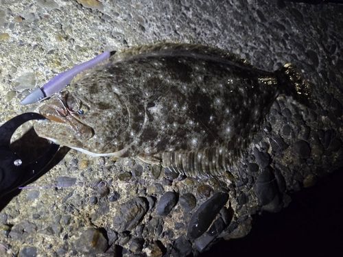 表浜名湖