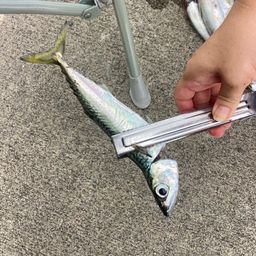 サバ