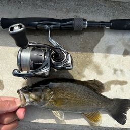 スモールマウスバス