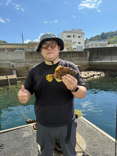 カワハギの釣果