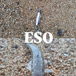 エソ
