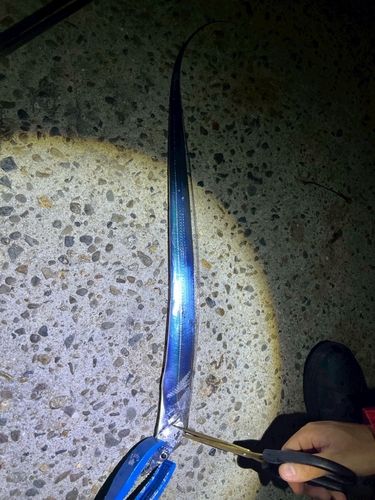 和歌浦湾