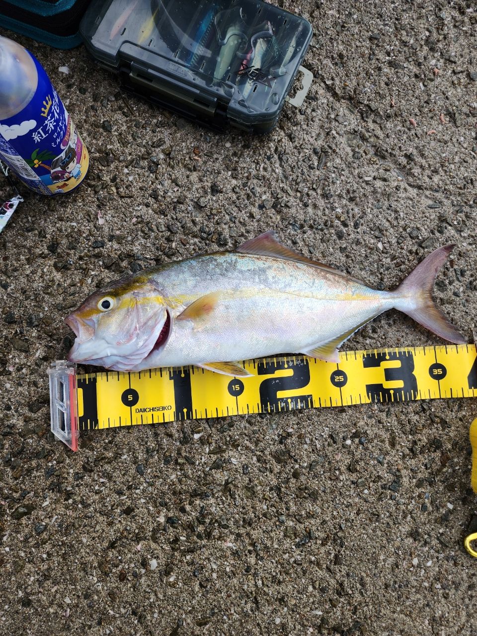 AbuGarcia ソルティースタイルショアジギング STJS-1062MH-KRの最安値