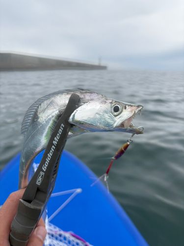内灘海岸
