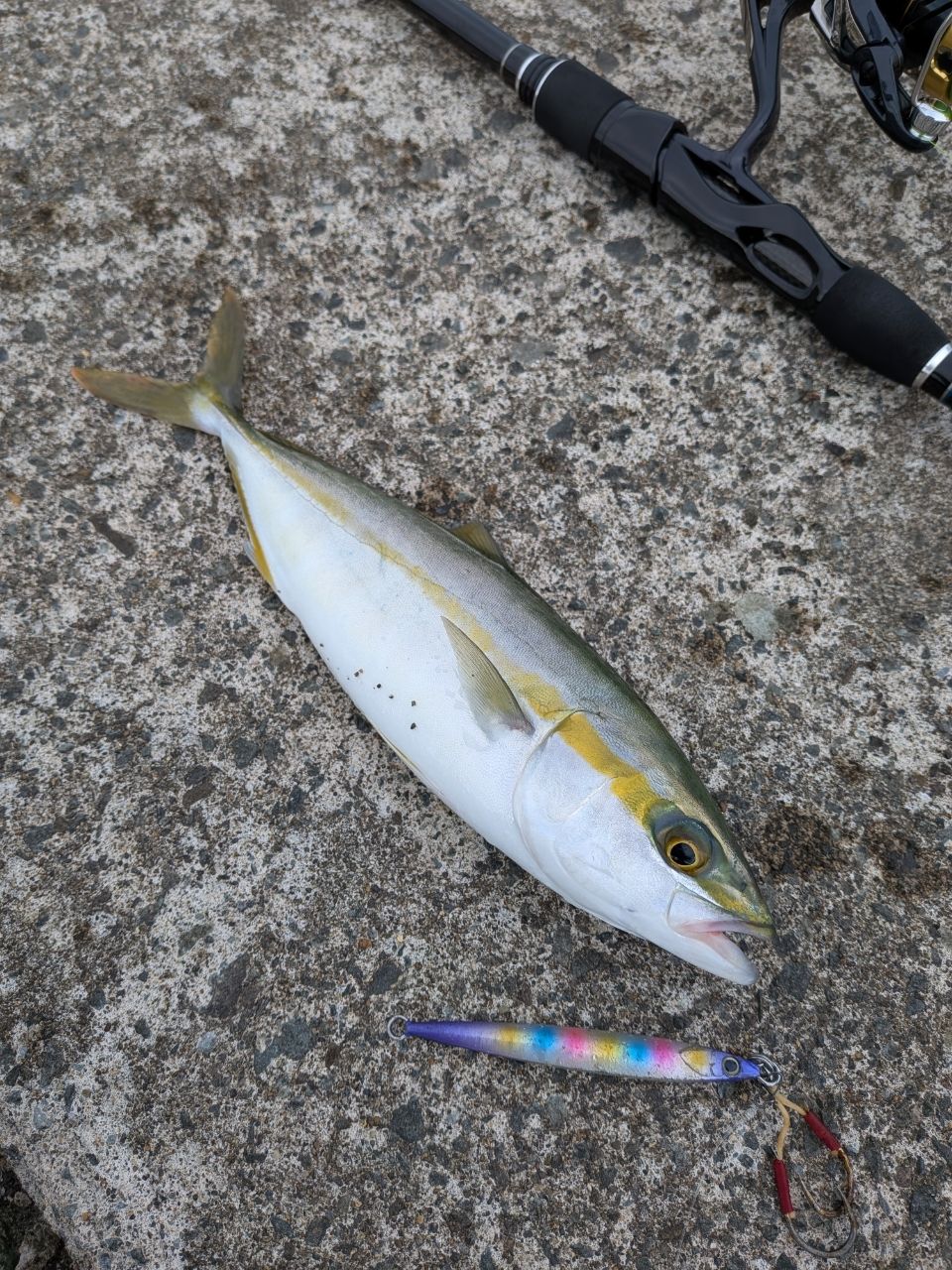 イナダ