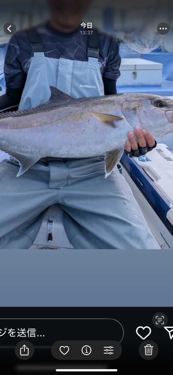 移住釣人さんの釣果 2枚目の画像