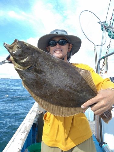 ヒラメの釣果