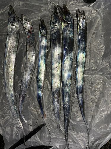 豊浜漁港