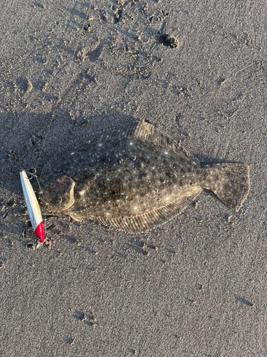 大倉戸海岸