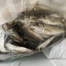 アジ