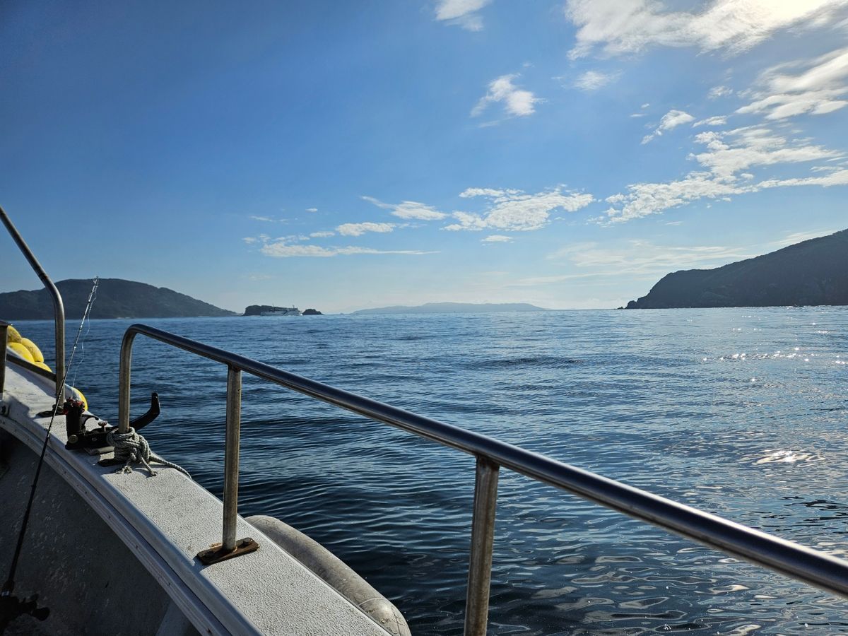 りょう組合長さんの釣果 1枚目の画像