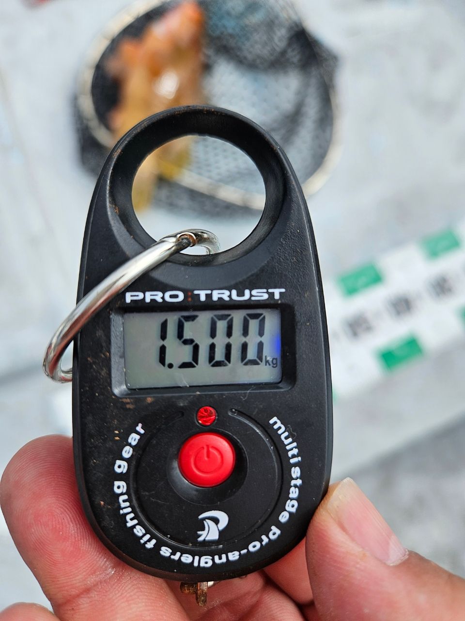 りょう組合長さんの釣果 3枚目の画像