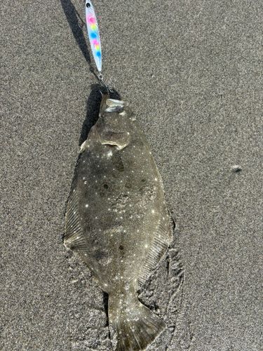 釣果