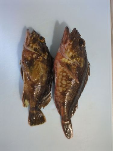 河芸漁港
