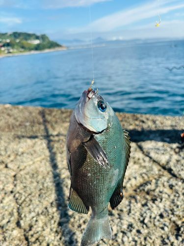 小田原〜真鶴
