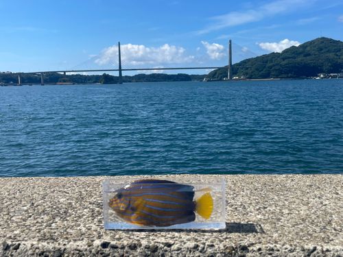 呼子港