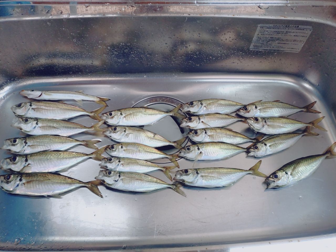 Gamakatsu ラグゼ 宵姫 華 弍 S68FL-solidの最安値・インプレ・釣果