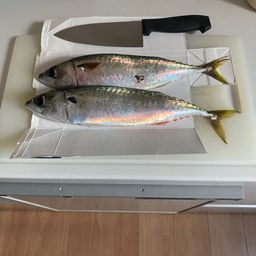 サバ