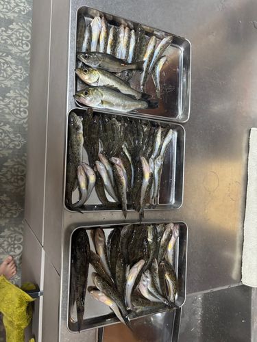 一色さかな広場前