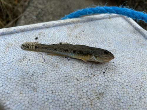 豊川浄化センター埋立地公園