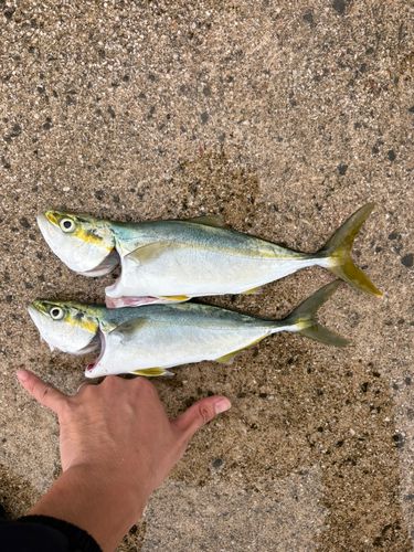 大浜地区ふれあい広場