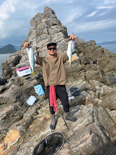 ヤズの釣果