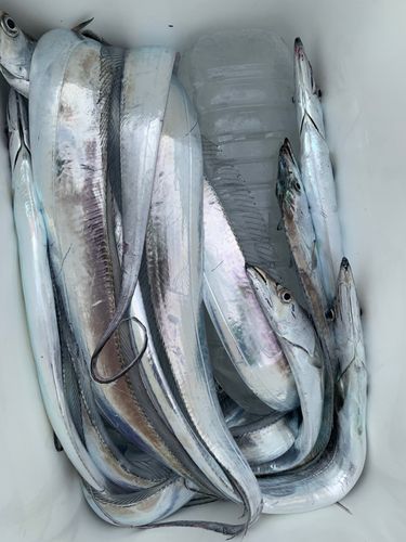 知多湾