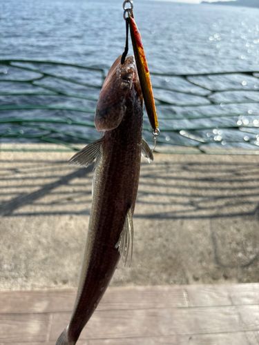 海辺つり公園