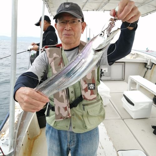 タチウオの釣果