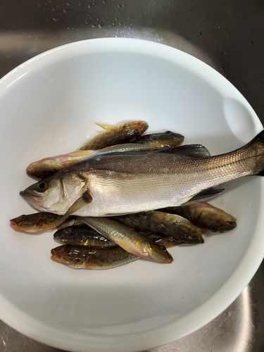 湖山池