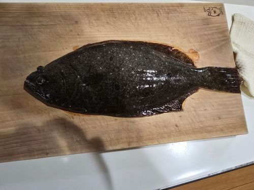 表浜名湖