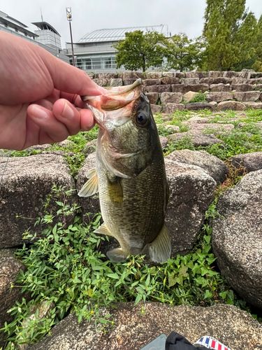 におの浜