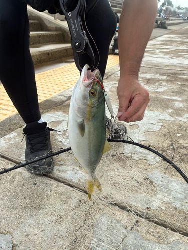 大阪湾